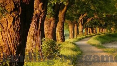 南斯拉夫世界杯3 3-南斯拉夫世界杯3 3，一场经典战役的回顾与感悟